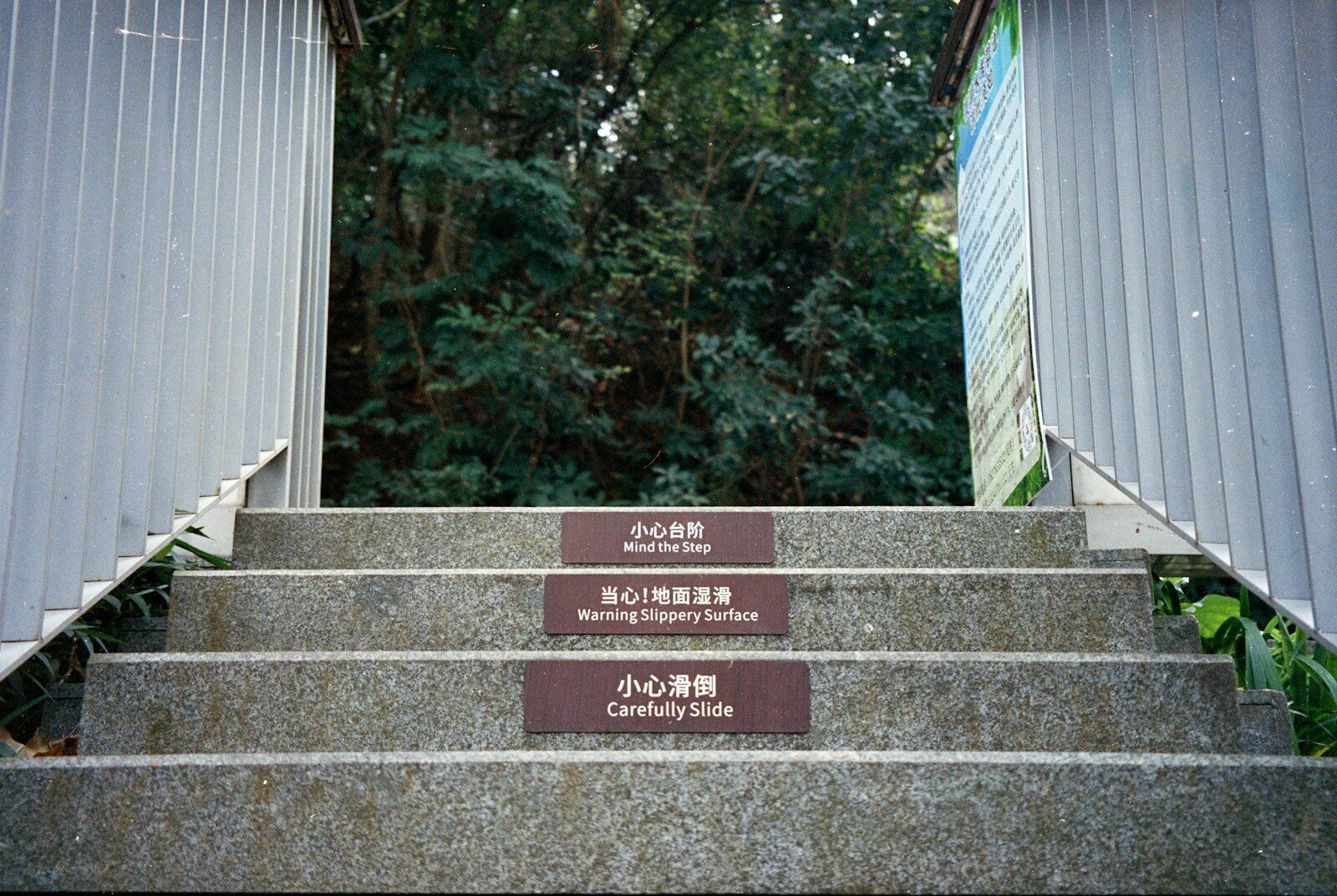 Stone stairs with warning signs leading to trees